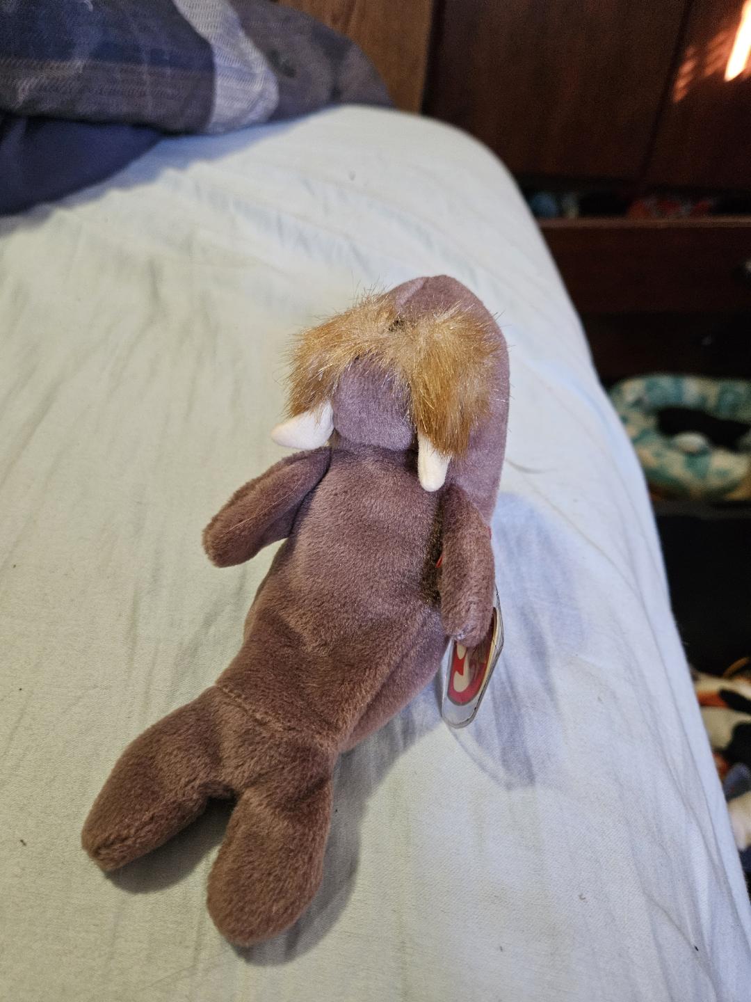 Beanie Baby Fish - photo 3