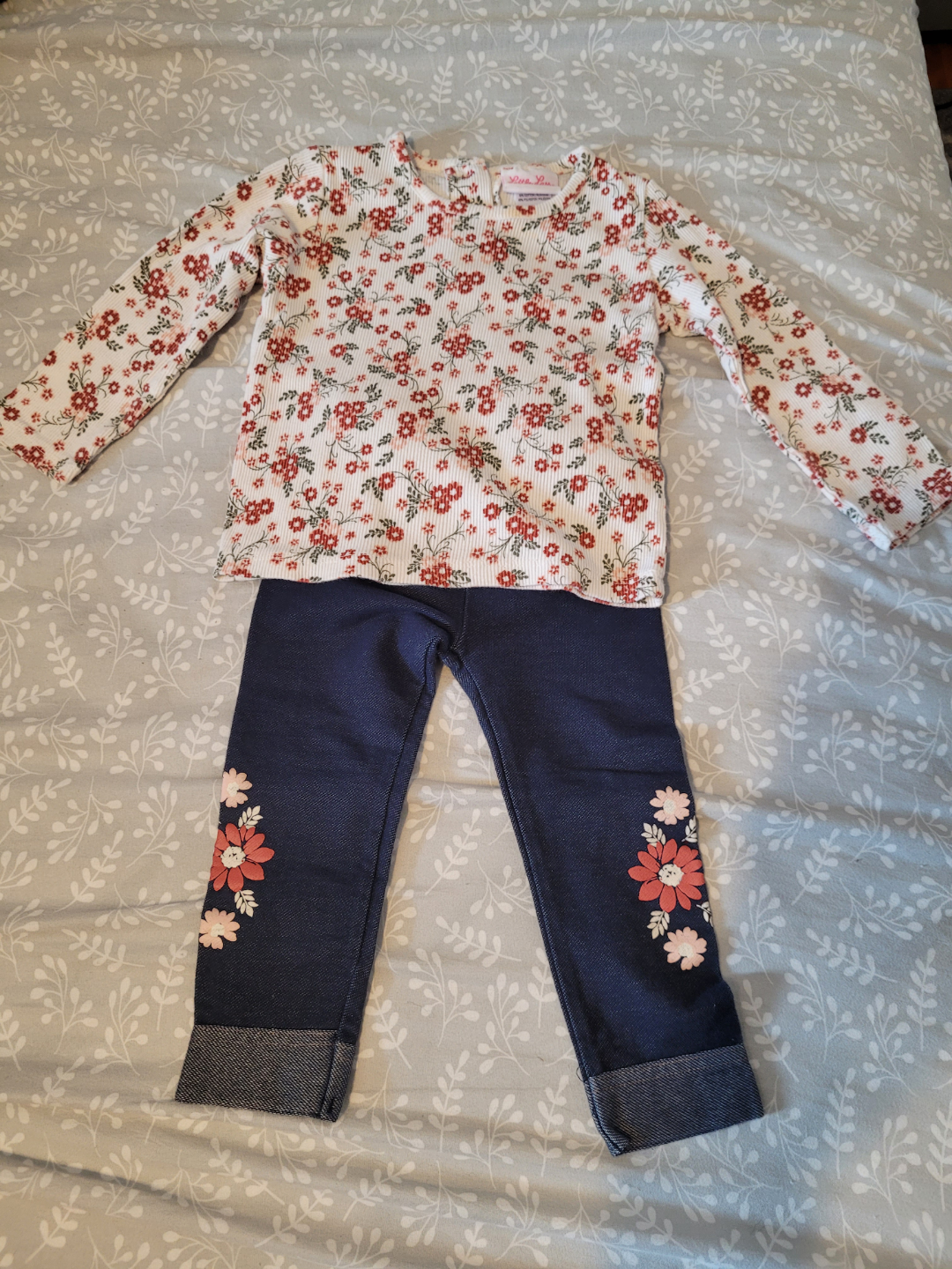 Girls Outfit Size 24 Months