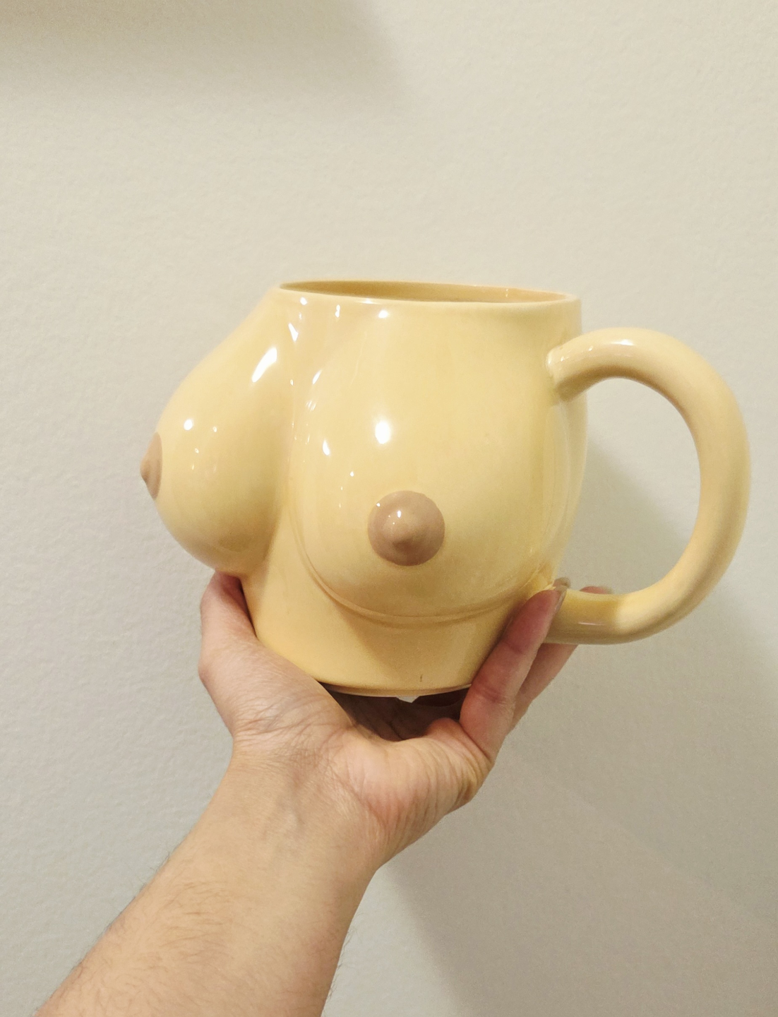 Unique Ceramic Boob Mug- Planter/ Coffee Funny Hilarious Gift - photo 4