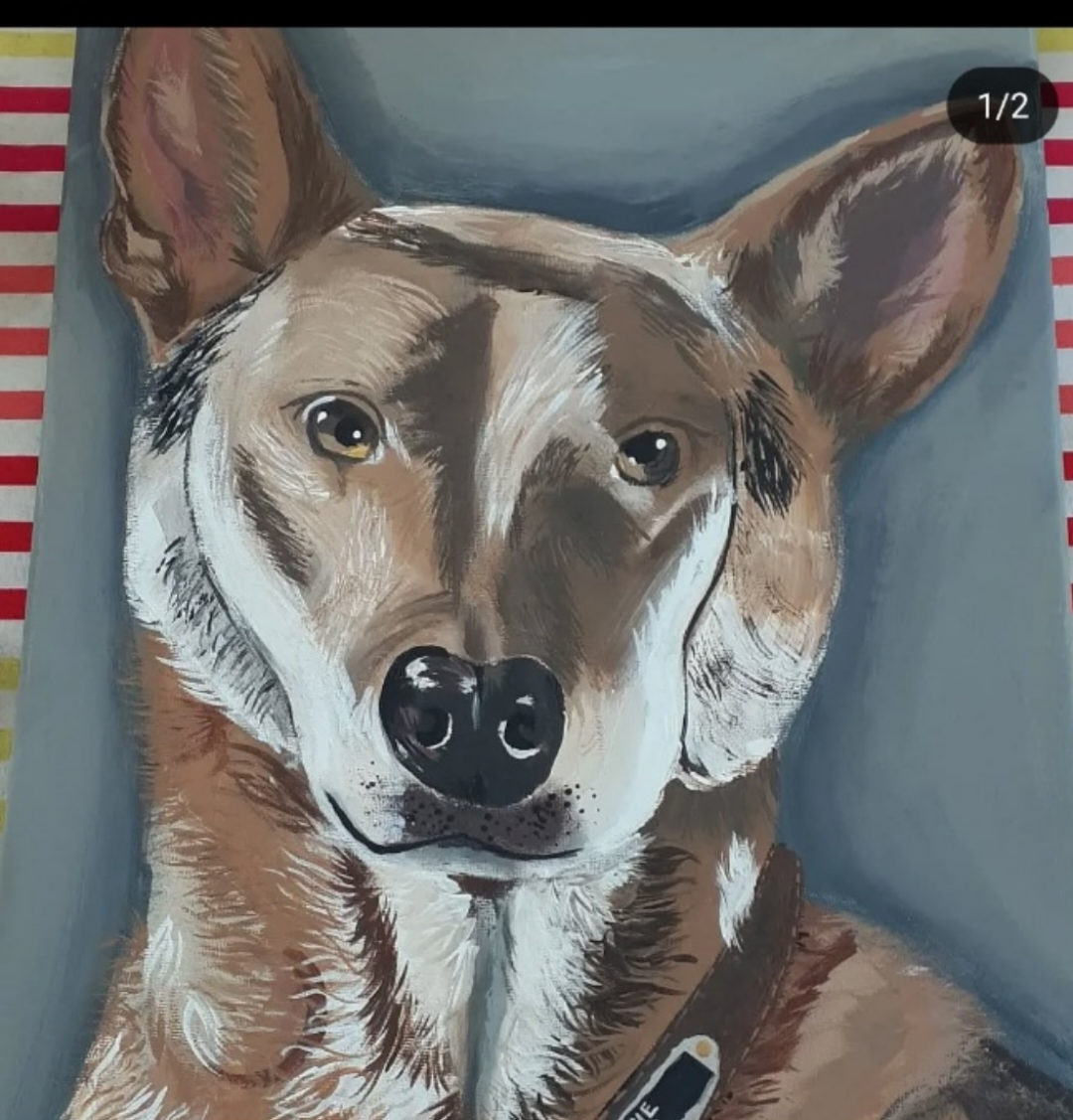 custom pet portraits - photo 2