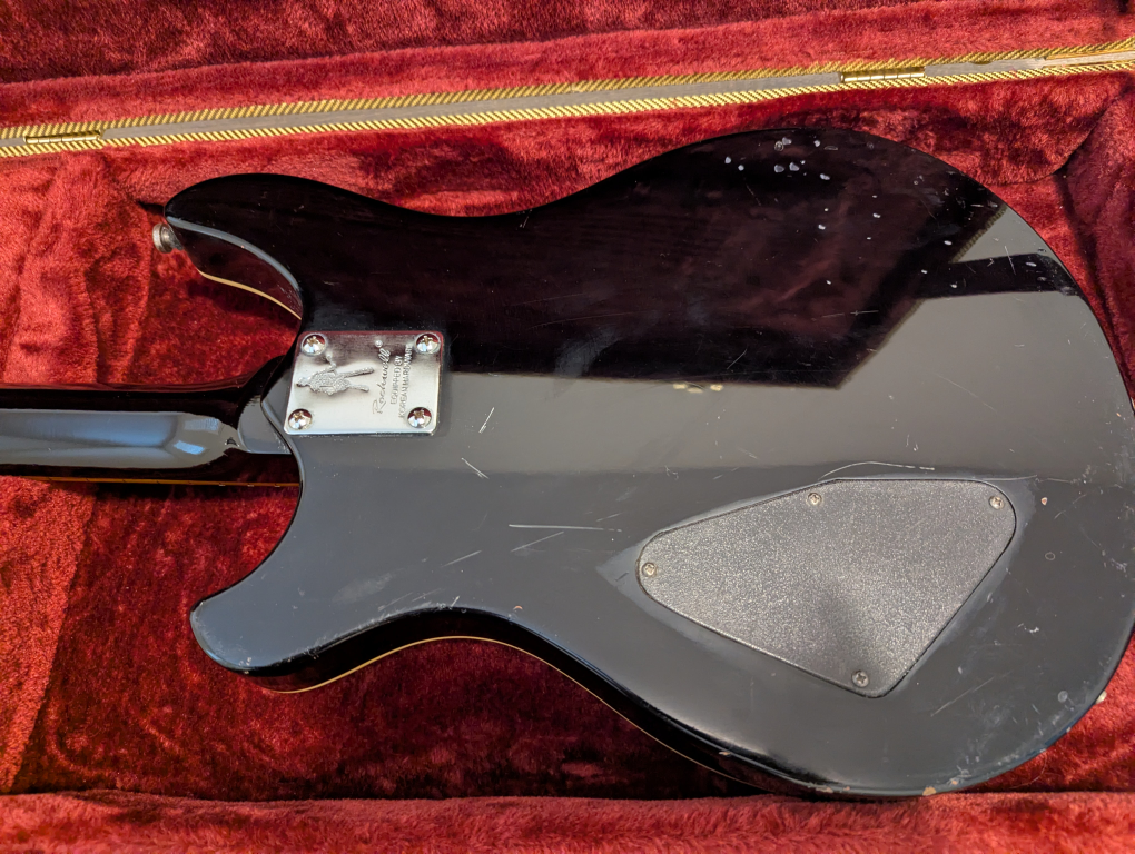 Unique Dragon Carve Electric Guitar with Hard Case - photo 5