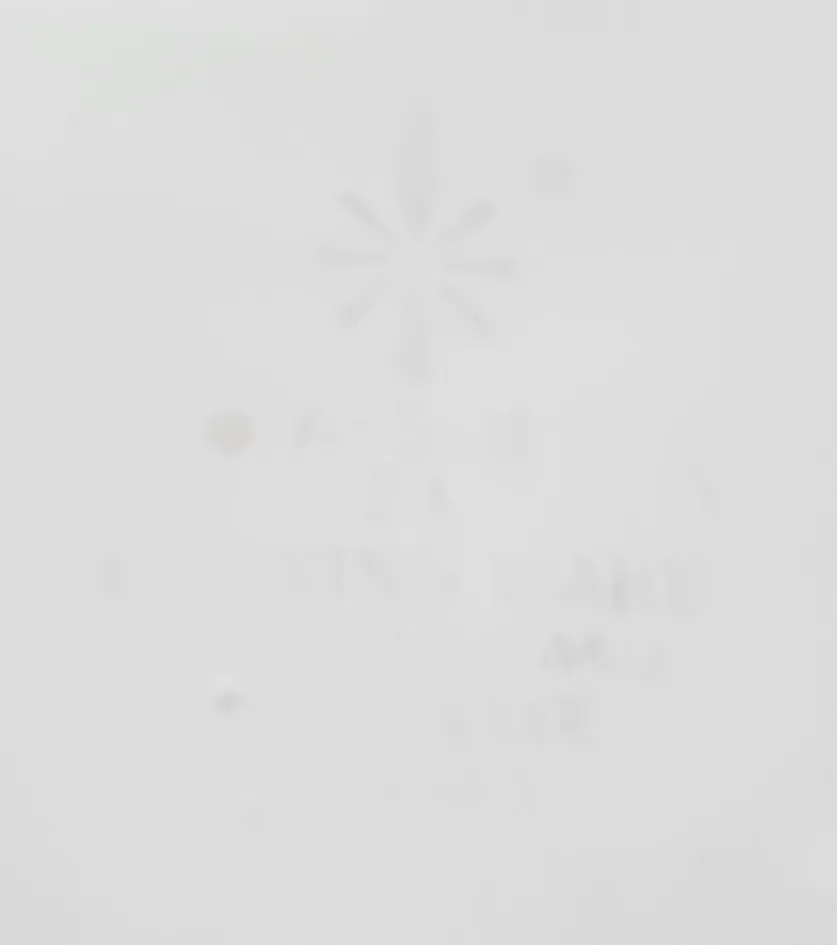 Corning Ware Wildflower 5L Dutch Oven Casserole with Lid, A-5-B image indicator(10)