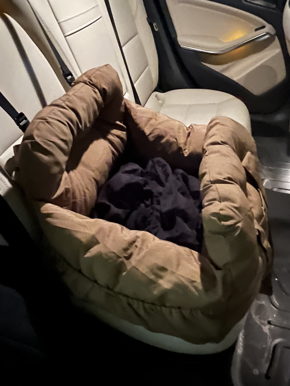 Radica Bellimbusto Pet Car Seat Bed - new with tags - photo 2