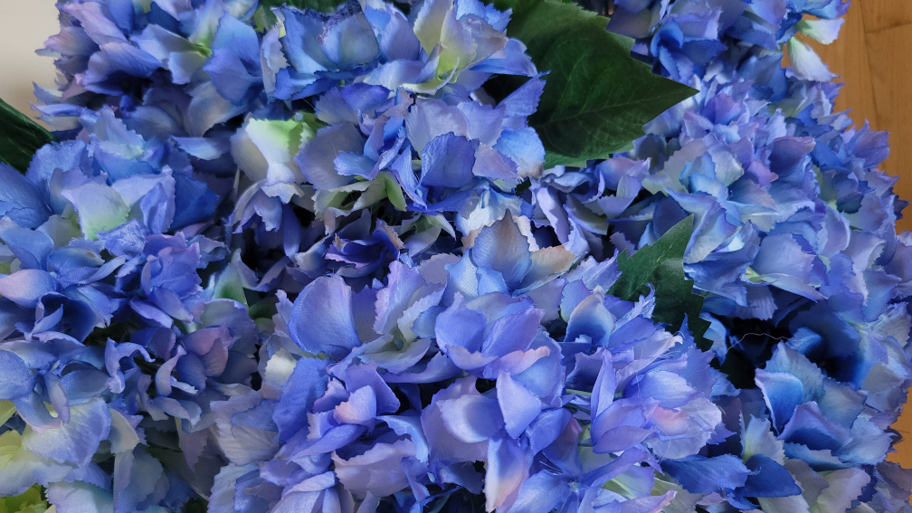 Value over $400 for 28 Premium Long Stem Silk Hydrengia - photo 4