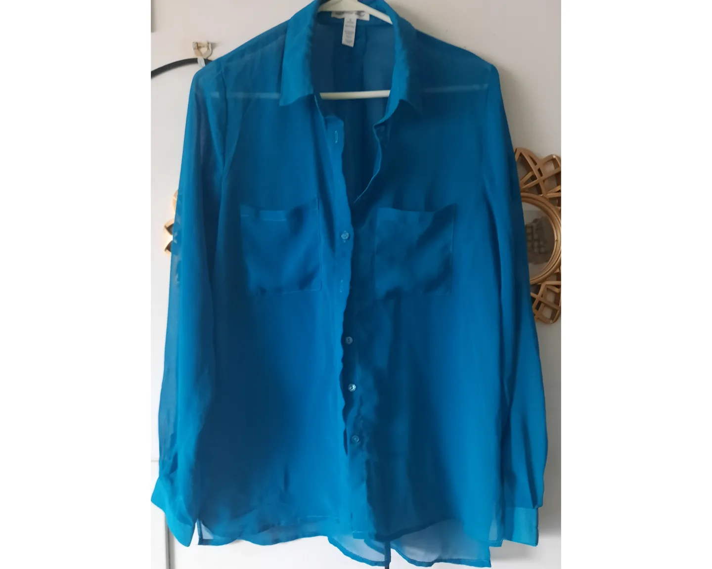 Teal Sheer Button-Down Blouse image indicator(2)