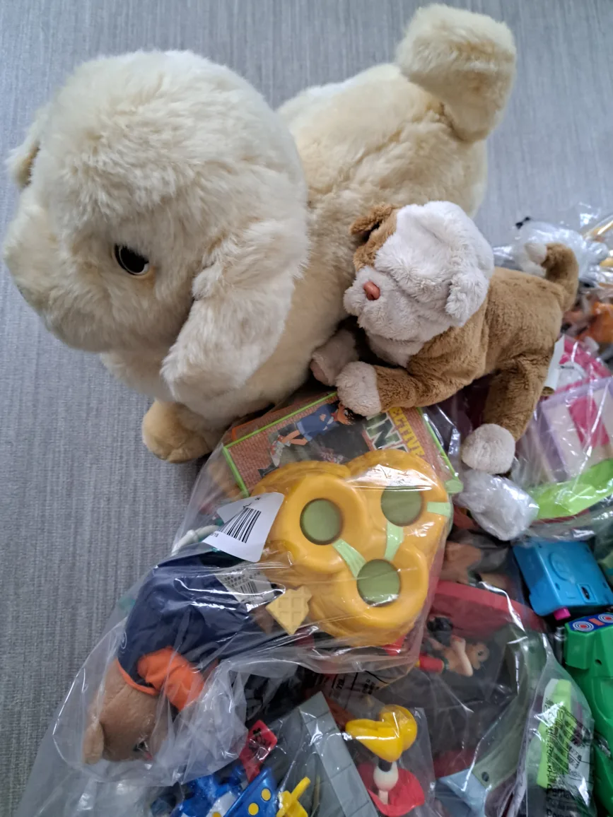 Free toys (Pickup at Richmond Hill L4S) image indicator(9)