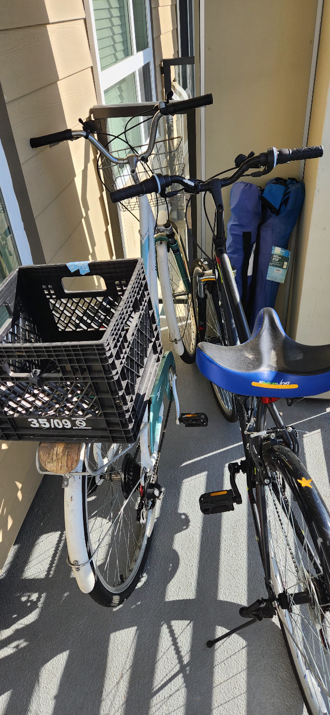 Two Used Bikes for Sale - photo 3