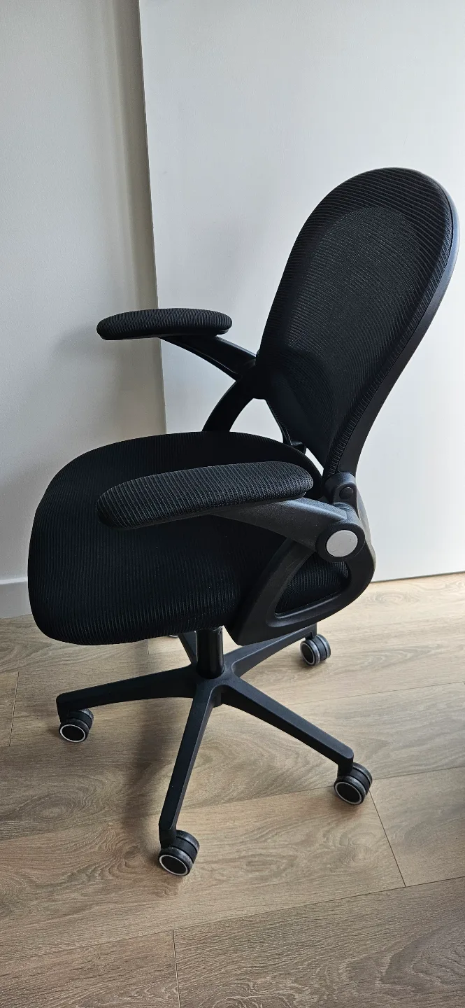 Black Mesh Office Chair with Armrests 💚 image indicator(4)