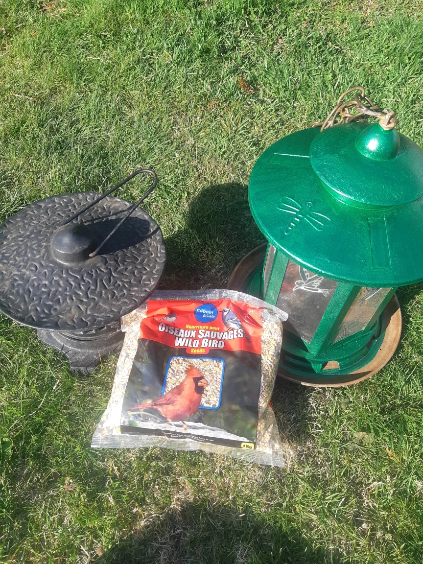 Vintage Cast Iron Lantern & Green Metal Bird Feeder - photo 5