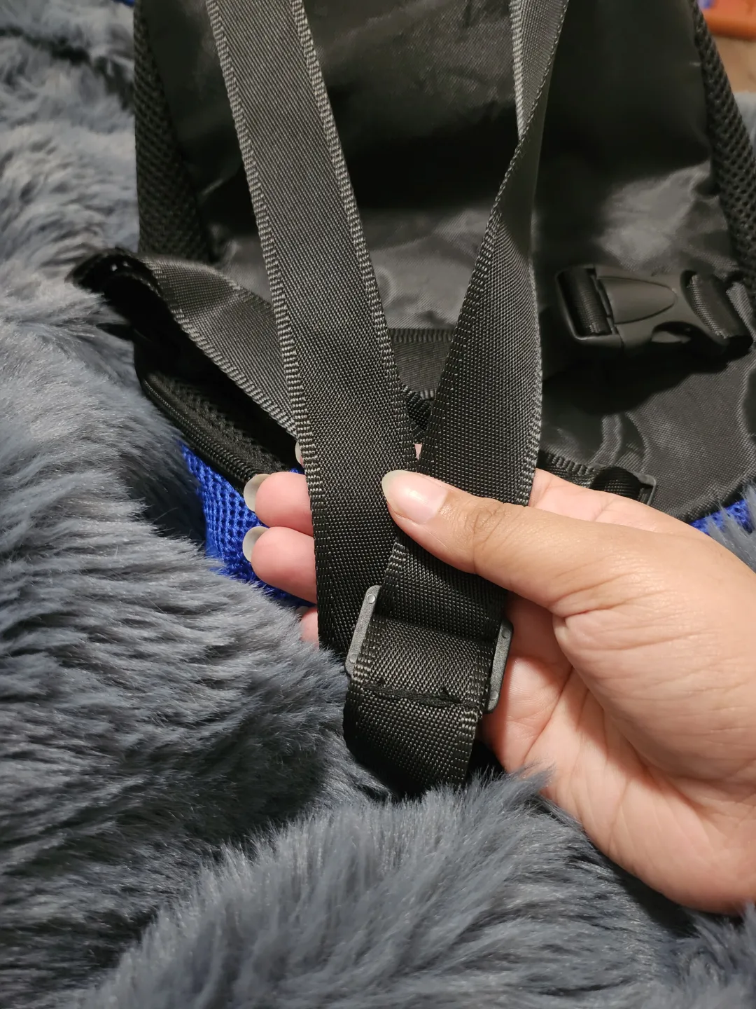 Pet Carrier Backpack image indicator(2)