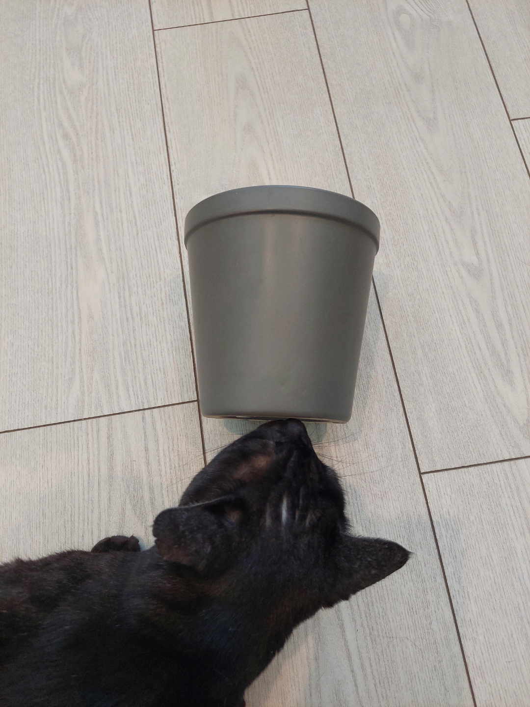 Dark Grey Ceramic Plant Pot - photo 4