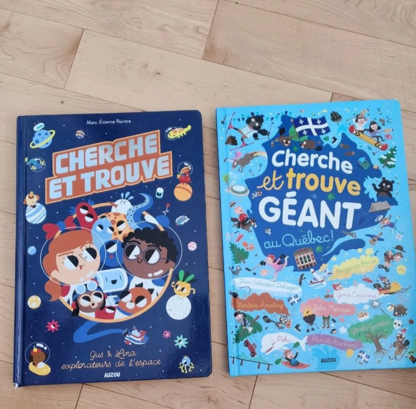 Cherche et Trouve Children's Books (2) thumbnail