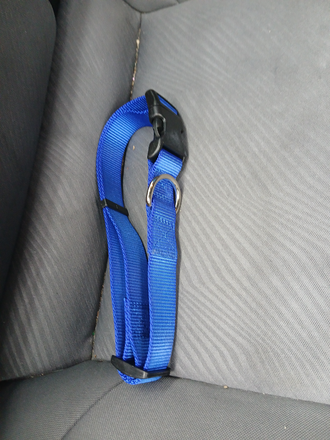 Medium Size Dog Collar