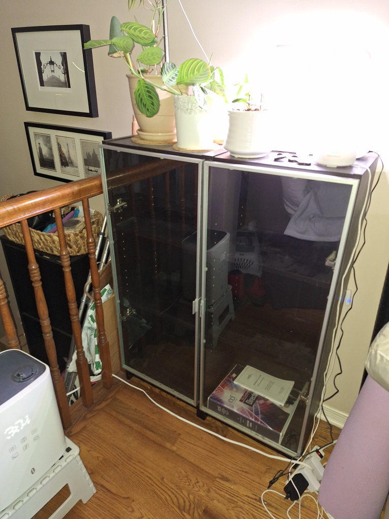 Set of 2 Billy Bookcases with glass doors