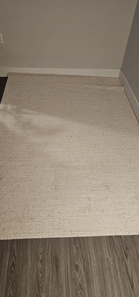 Off-white Area Rug - photo 3