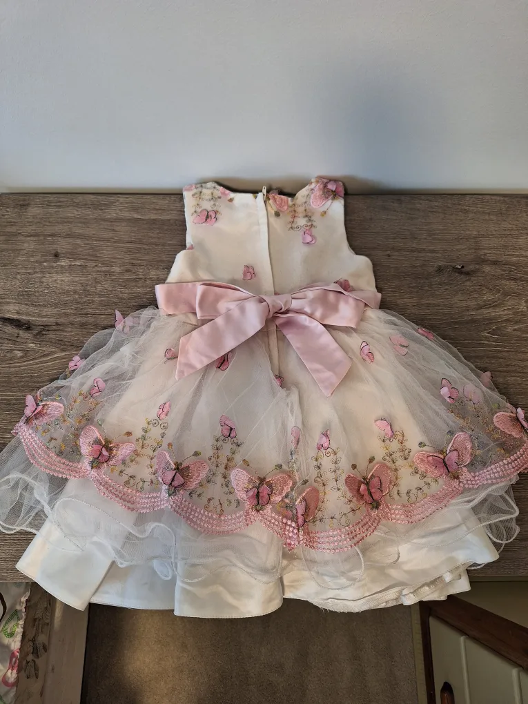 Adorable Butterfly Baby Girl's Dress thumbnail