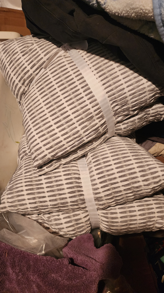 Set of Two Decorative Throw Pillows