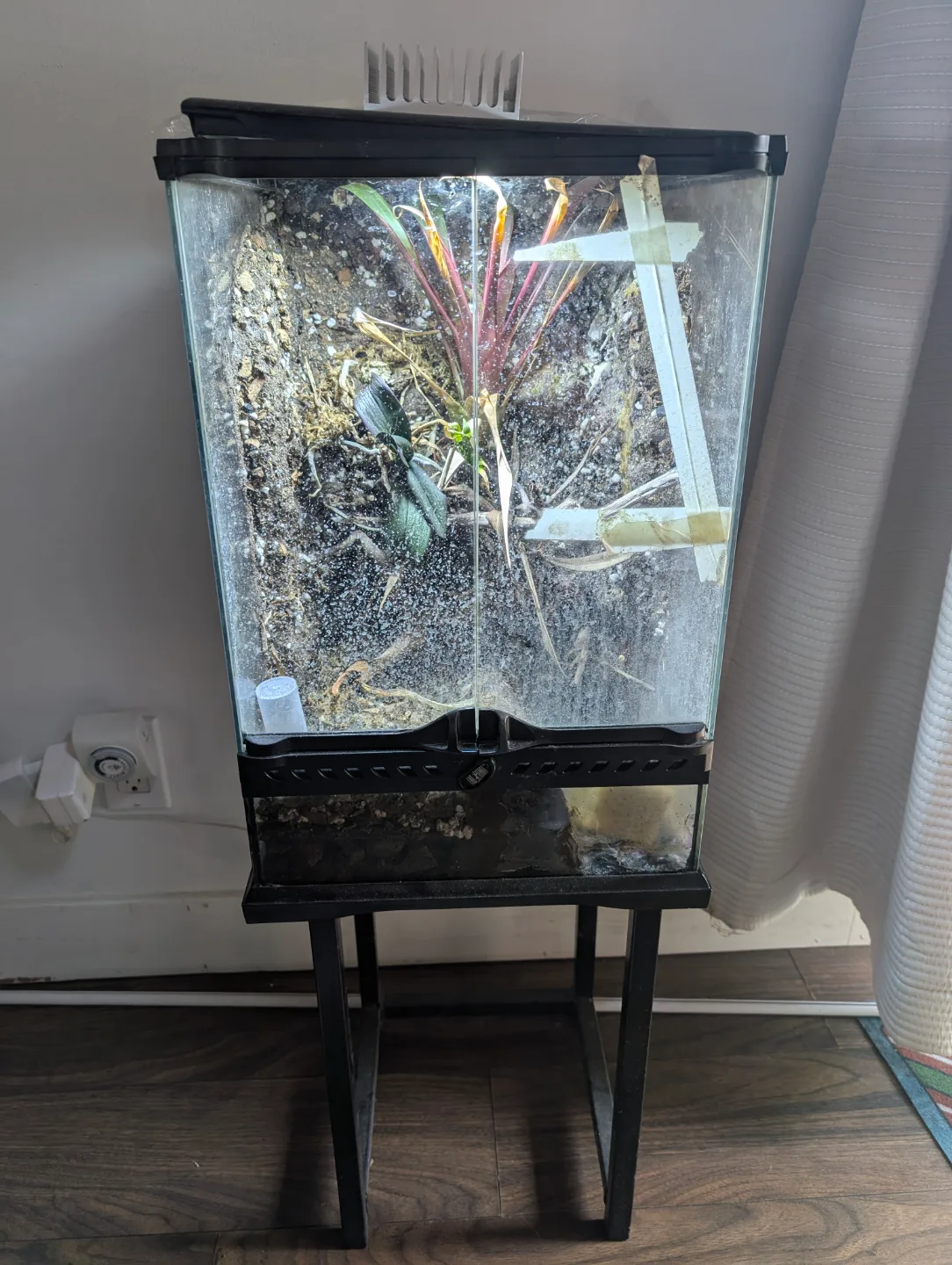 Used Exo Terra Terrarium with Stand