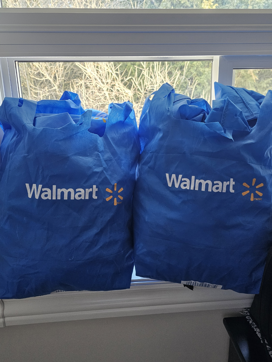 74 Walmart Reusable Shopping Bags 💚 - photo 2