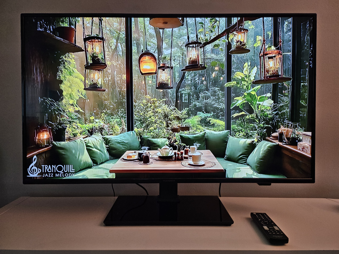 Insignia 43" TV