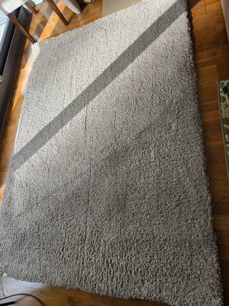 Large Shag Area Rug - Beige image indicator(10)