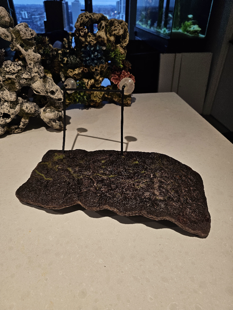 Aquarium Decorations - photo 5