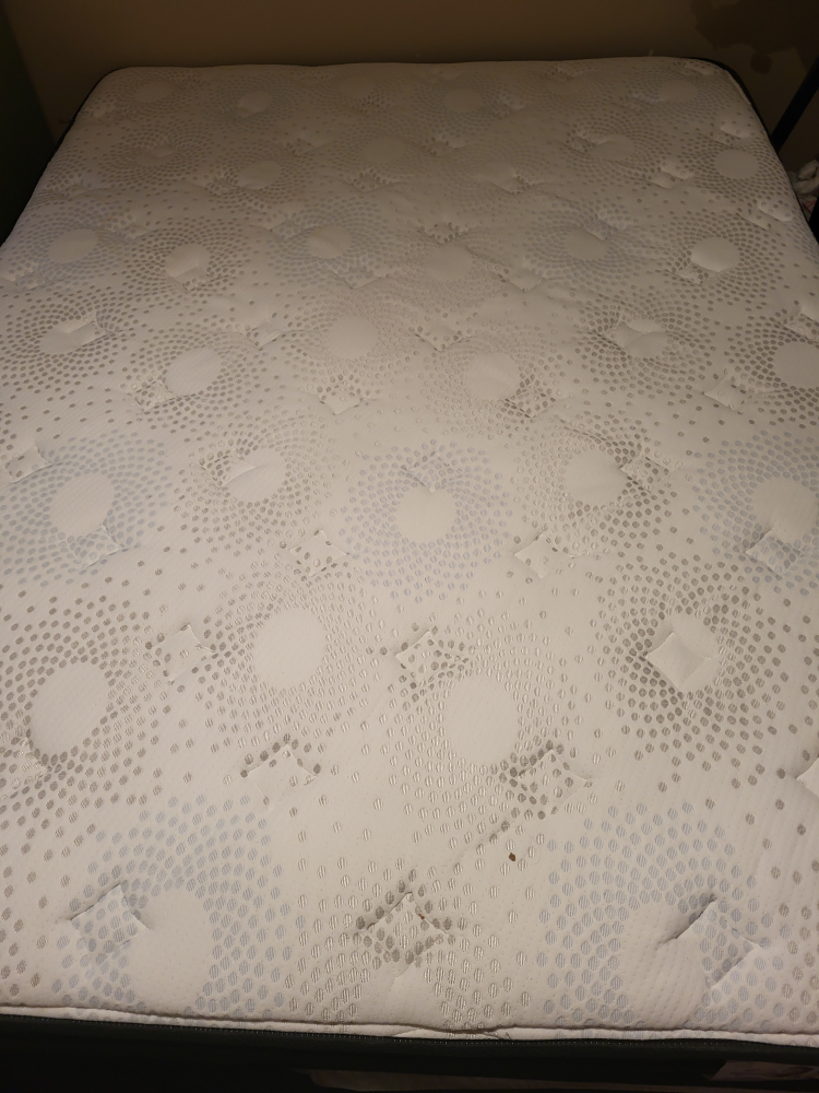Springwall Huron 2.0 Mattress - Queen - photo 3