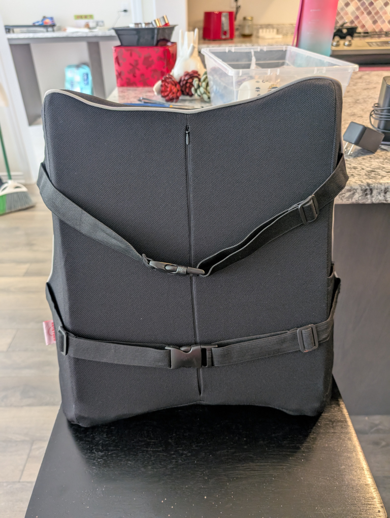 Lumbar Support Back Cushion with Adjustable Straps - photo 2