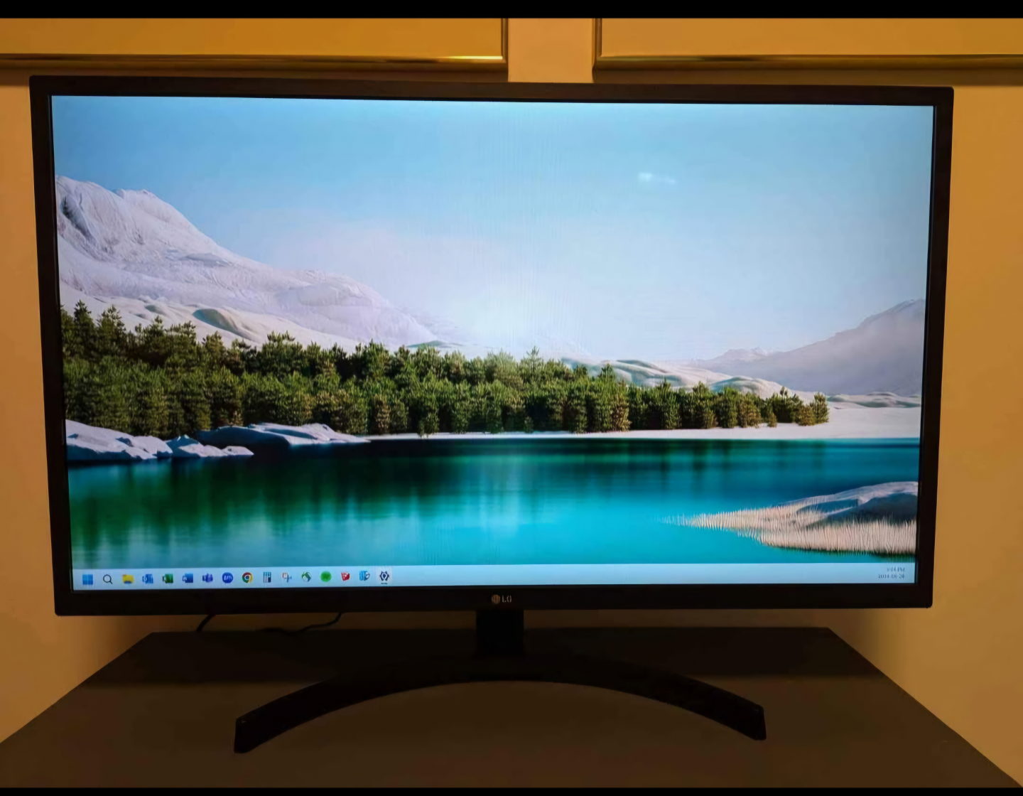 LG 32" monitor