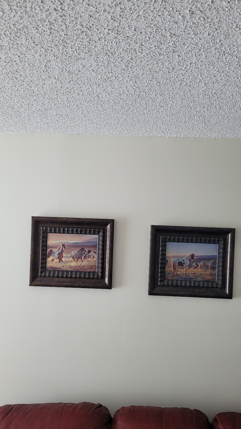 Pair of Framed Horse Paintings 15$