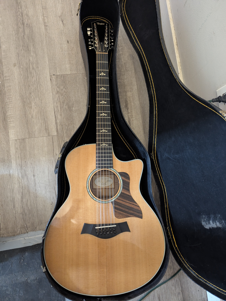 Taylor Guitars 12-String Acoustic Guitar