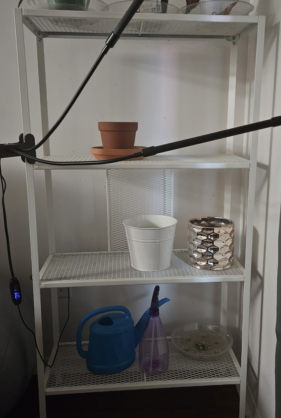 Plant Shelf 🥕💚