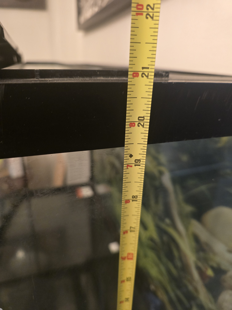 55 Gallon Bowfront Aquarium with Stand - photo 4