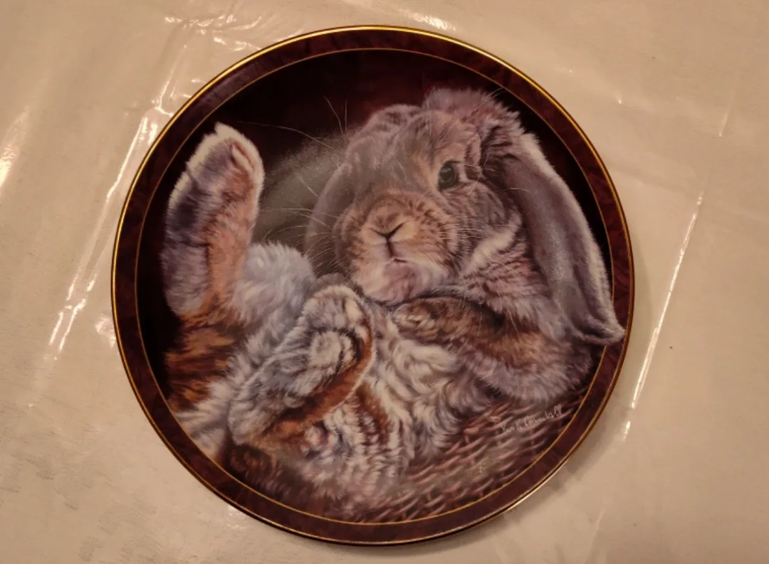 Bradford Exchange Bunny Tales Plate - Footloose image indicator(6)