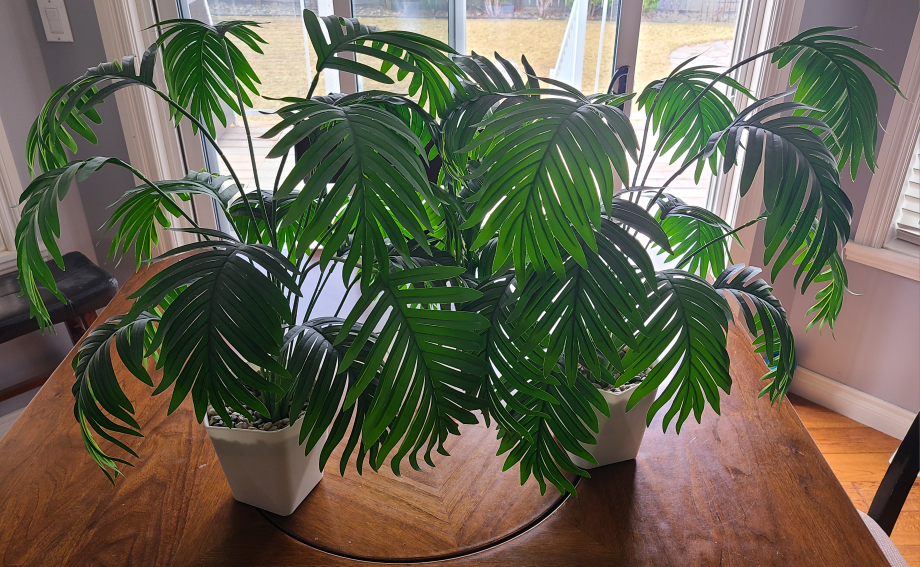 Four Artificial Plants in White Pots