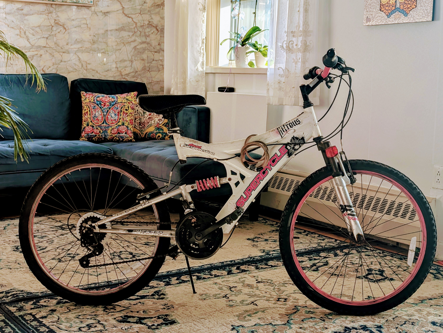 Supercycle Titans Mountain Bike