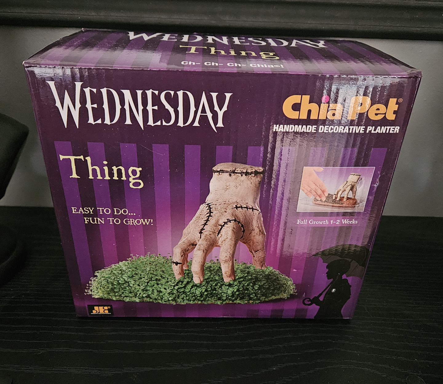 Wednesday Thing Chia Pet Planter
