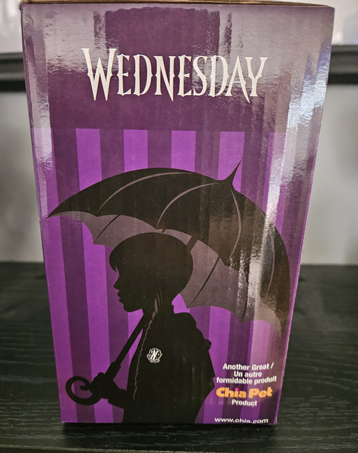 Wednesday Thing Chia Pet Planter - photo 2