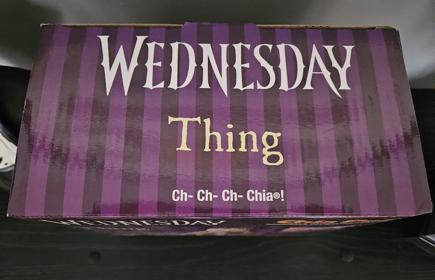 Wednesday Thing Chia Pet Planter - photo 4