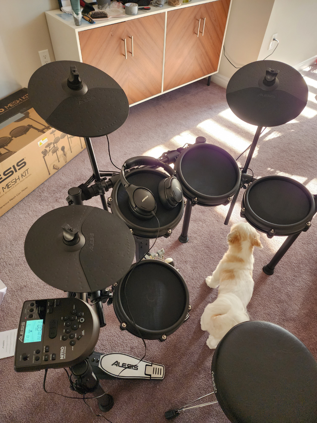 Alesis Nitro Mesh Kit Electronic Drum Set