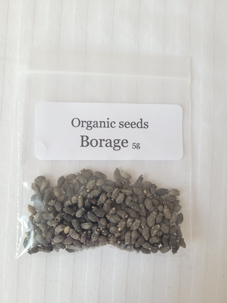 Organic Vegetable & Herb Seeds Variety Pack - photo 3