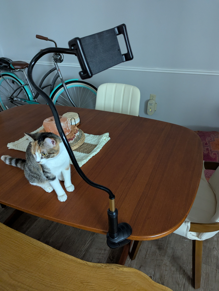 Flexible Gooseneck Phone Holder