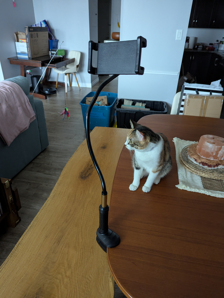 Flexible Gooseneck Phone Holder - photo 2