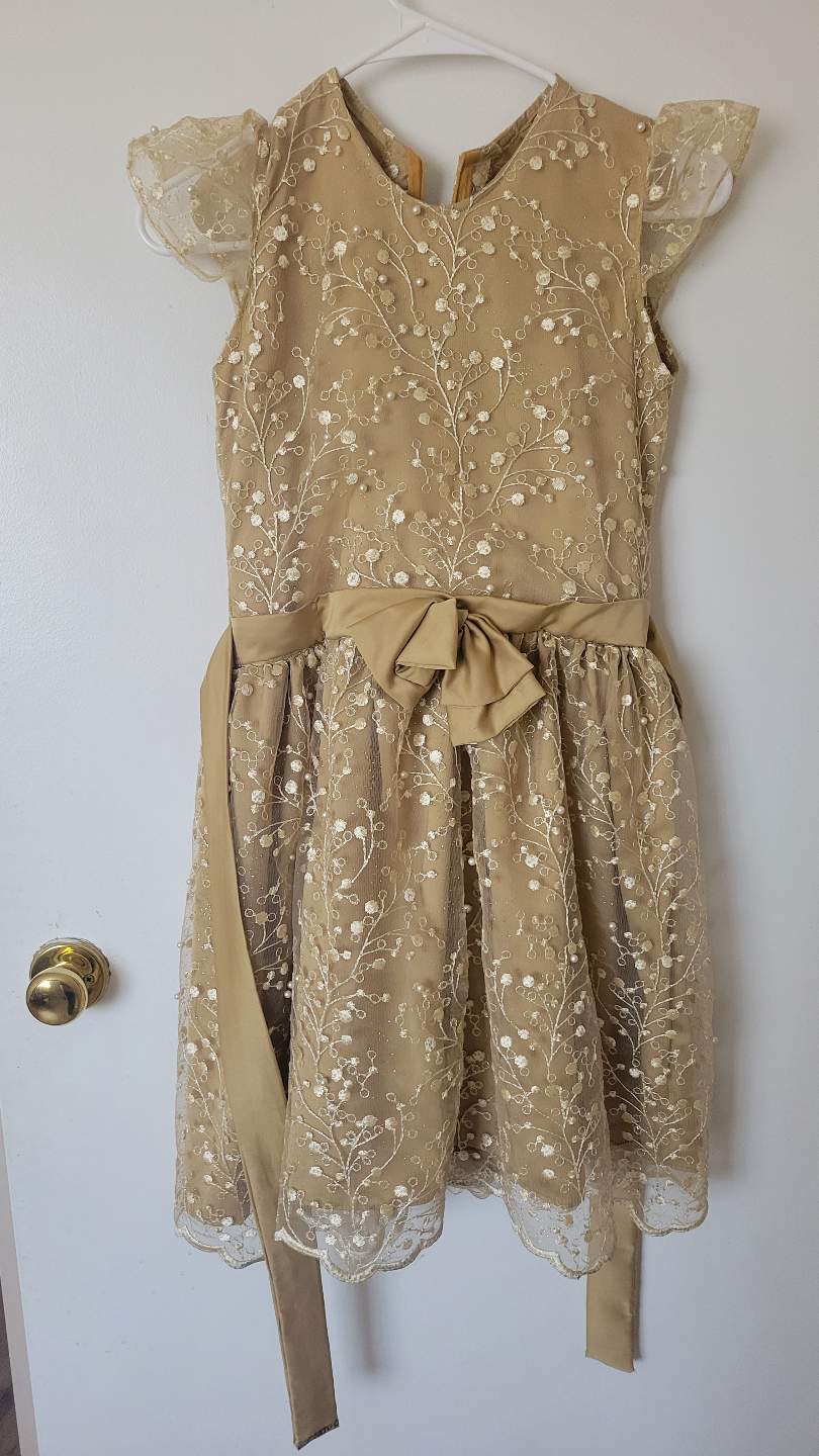 Girls' Champagne Gold Embroidered Dress with Bow