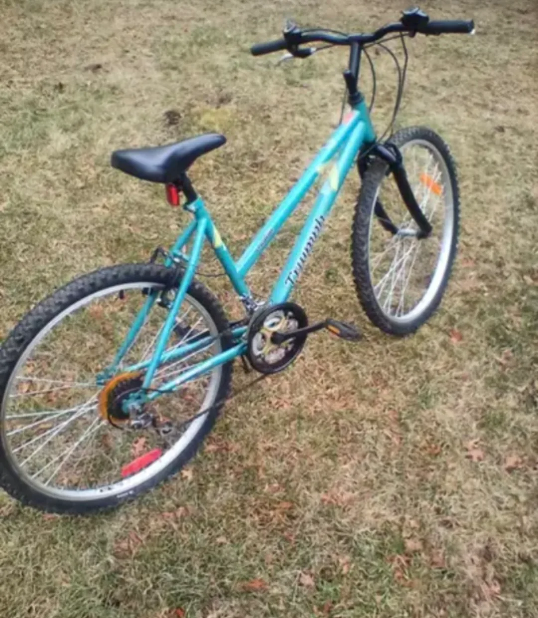 Triumph Mountain Bike image indicator(2)