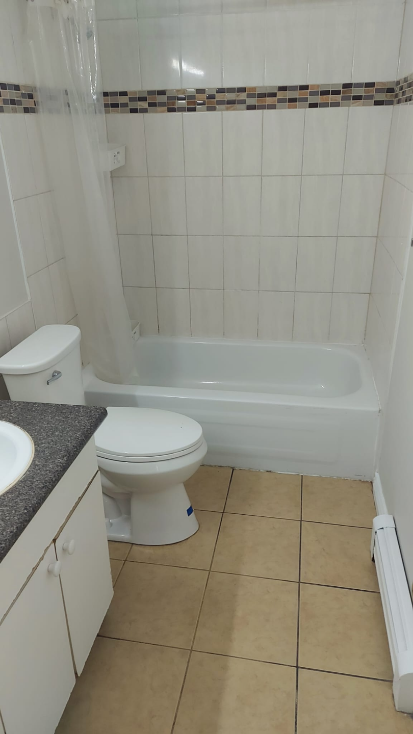 2 Bd - above ground basement suite Available now - photo 4