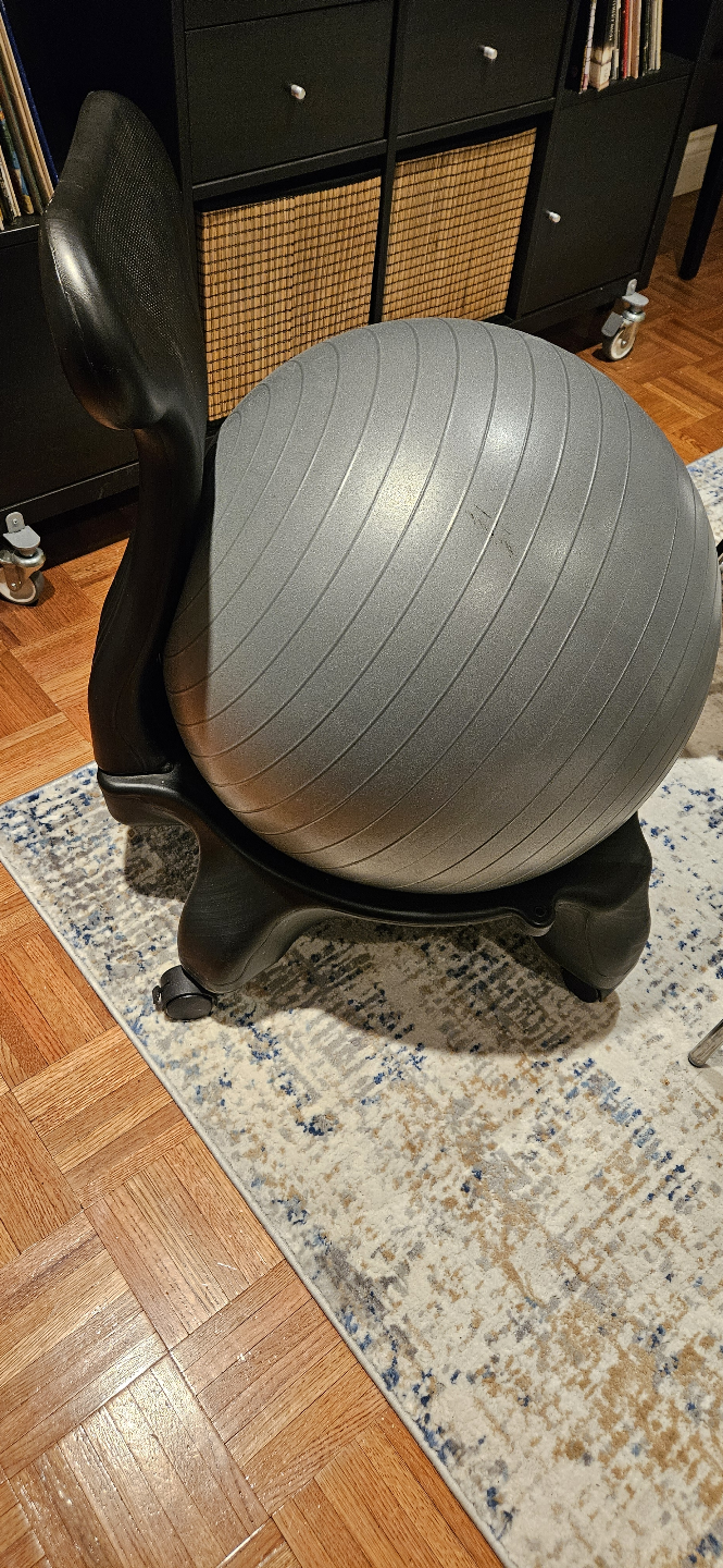 FIT CHAIR -Balance Ball Chair