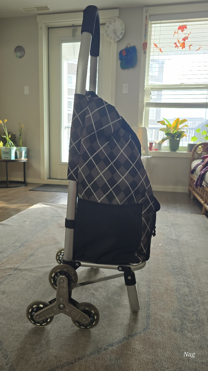 Rolling Shopping Cart with Bag
