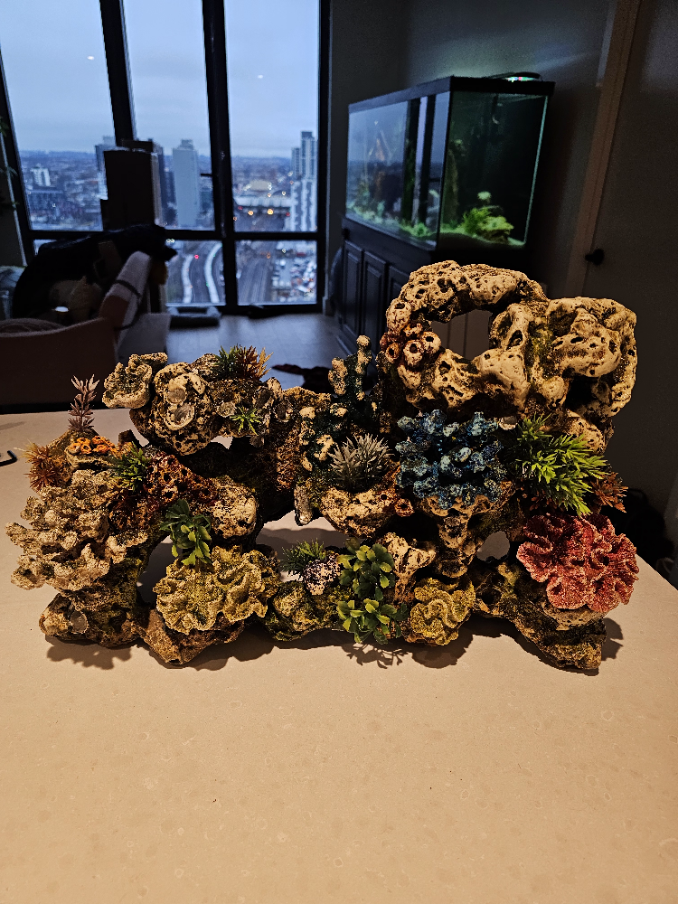 Aquarium Decorations