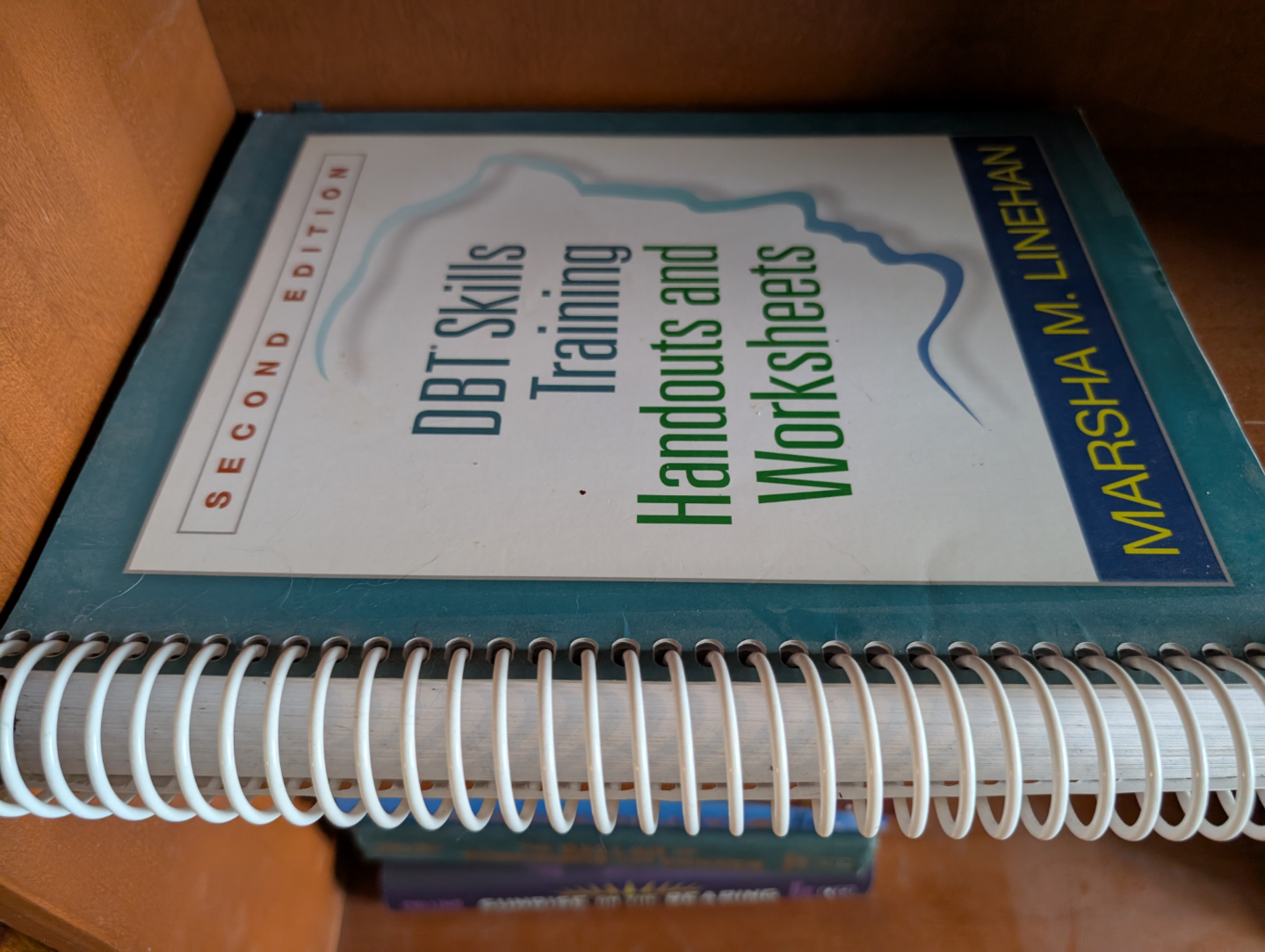 DBT Skills Training Handouts and Worksheets - Second Edition